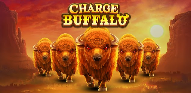 Charge Buffalo on Bhalo88