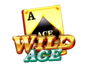Wild Ace on Bhalo88