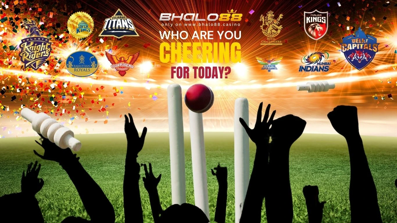 IPL-Teams-D